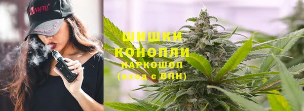 эйфоретик Белокуриха