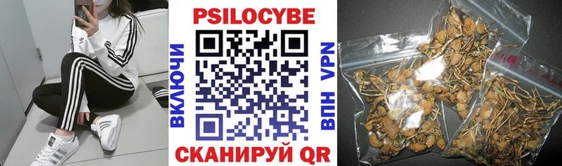 Псилоцибиновые грибы Psilocybine cubensis  Томмот 