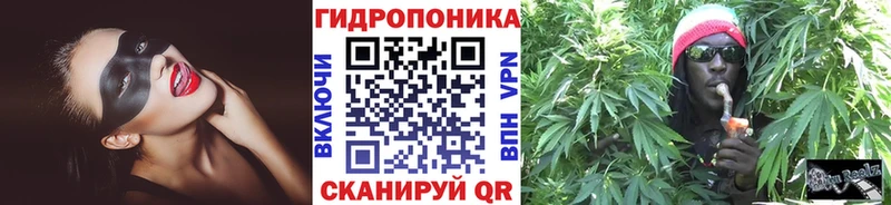МАРИХУАНА Amnesia  Томмот 